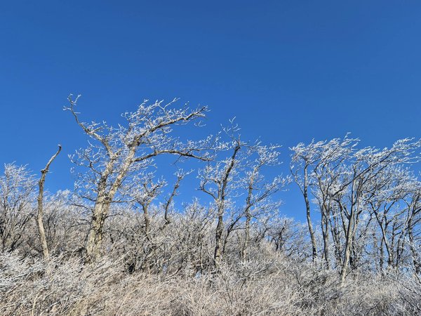 L'importance de l'ergonomie dans le domaine de l'informatique